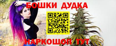 прущий лед Будённовск