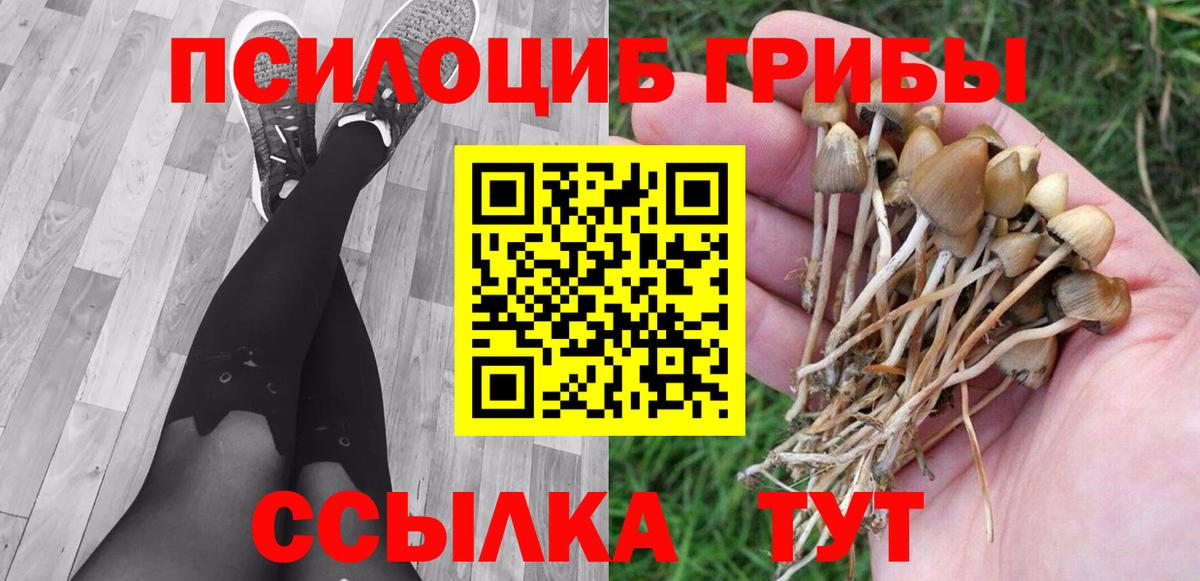 Псилоцибиновые грибы Psilocybine cubensis Валуйки
