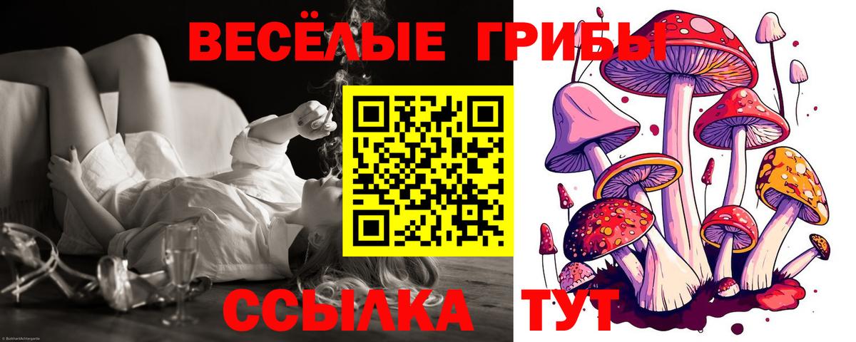 Галлюциногенные грибы Cubensis  Вход с VPN  Валуйки 